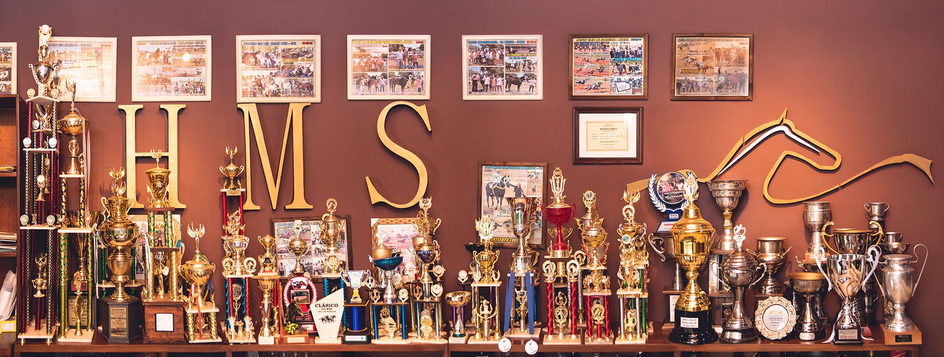 TROFEOS- TROFEOS-